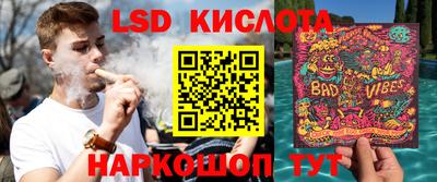 apvp Бердск