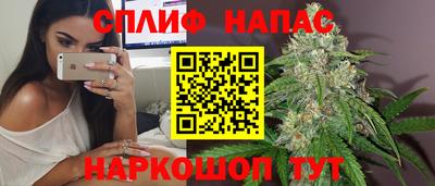 apvp Бердск