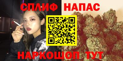 СК Ачхой-Мартан