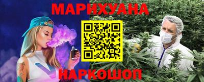 apvp Бердск